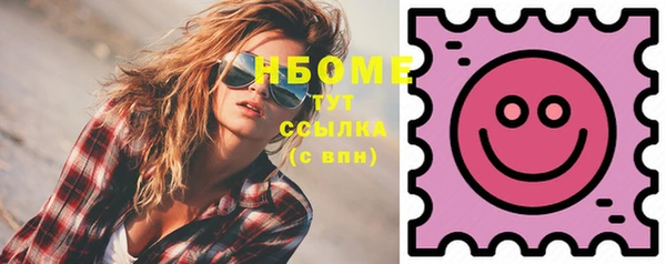 мет Алексин