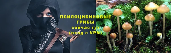 спайс Алзамай