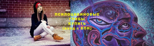 амф Алексеевка