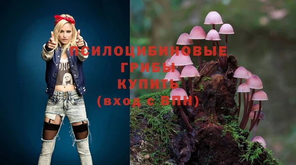 мет Алексин