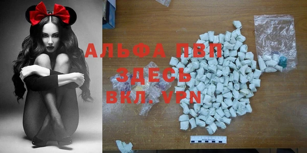 мет Алексин