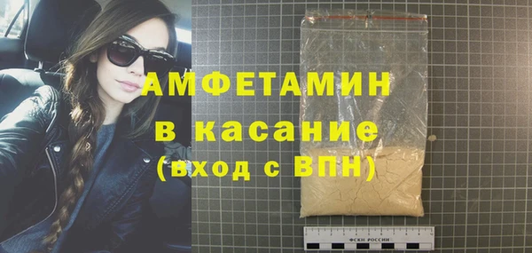 мет Алексин