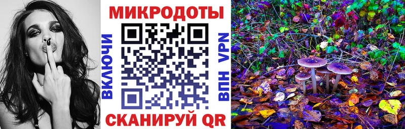Псилоцибиновые грибы прущие грибы  Балабаново 